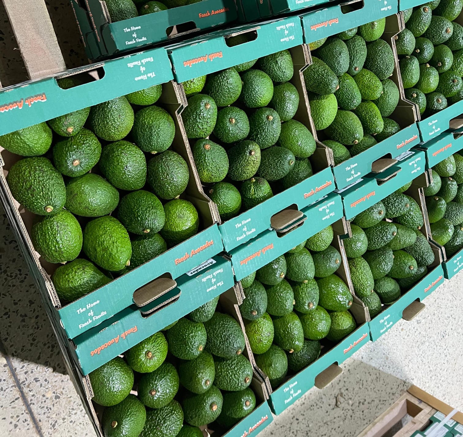 Export Grade Hass Avocados Processed & Packed in Kenya (23%–25% Dry Matter) featured image