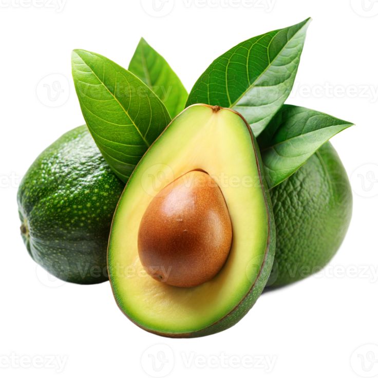 Top Hass & Fuerte Avocado Suppliers and Distributors in the Netherlands – Why Tropigold Orchards is Your Best Export Partner featured image