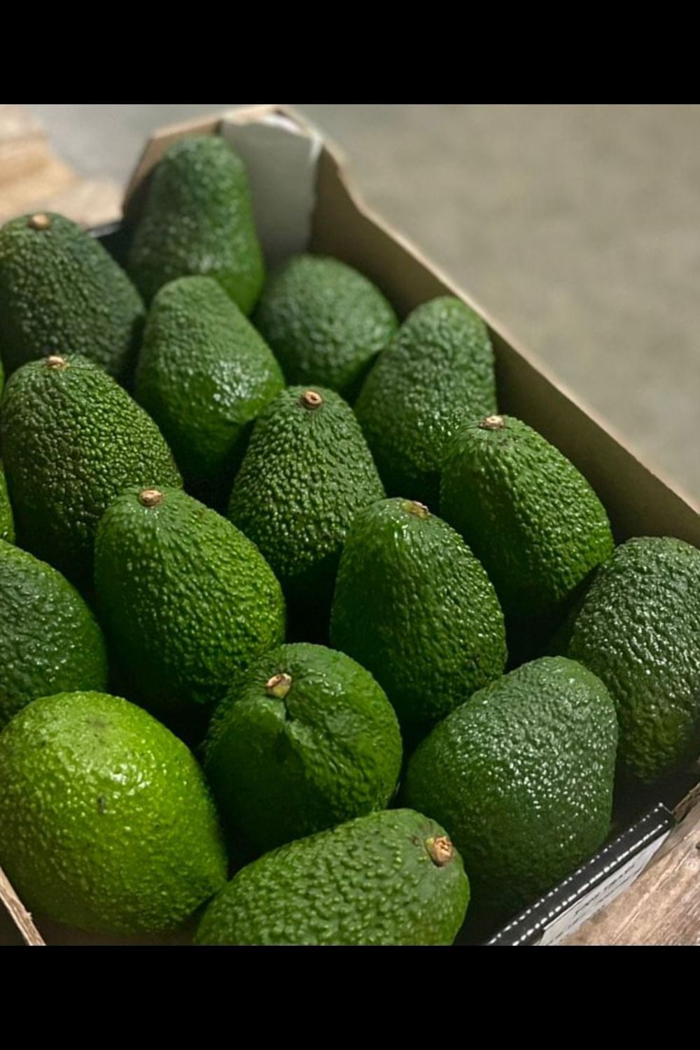 Top Ingredient Suppliers in Portugal for Hass Avocado featured image
